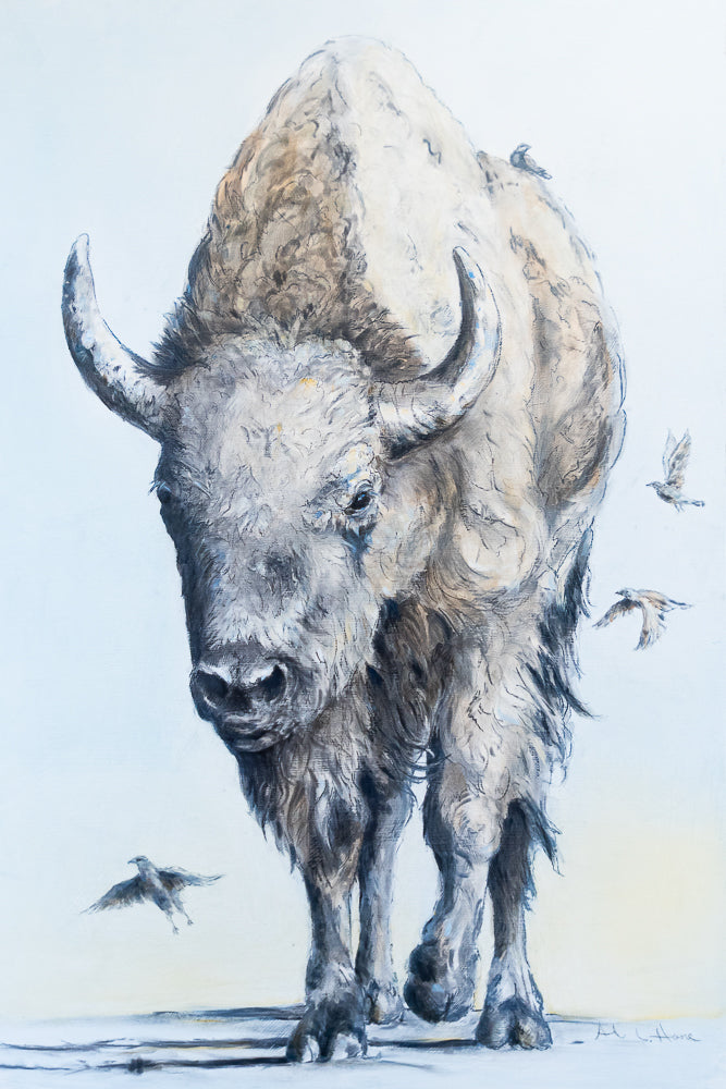 Bison and Birds