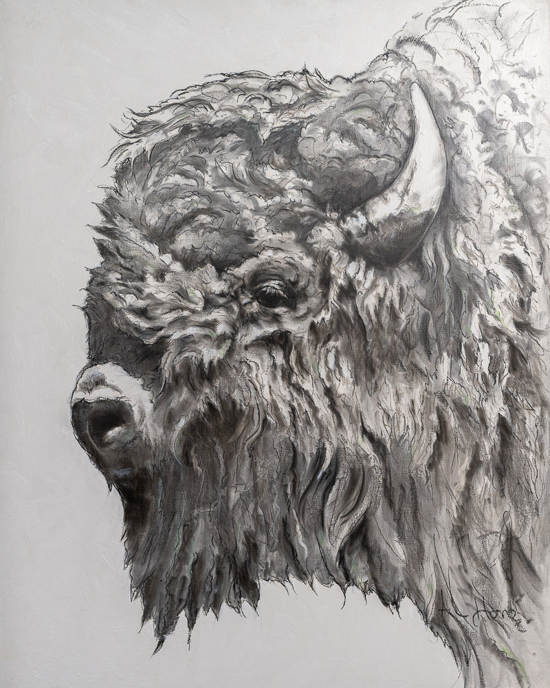 Bison Profile