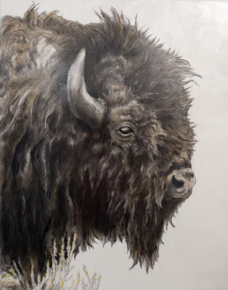 Classic Bison