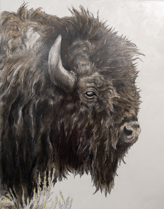 Classic Bison