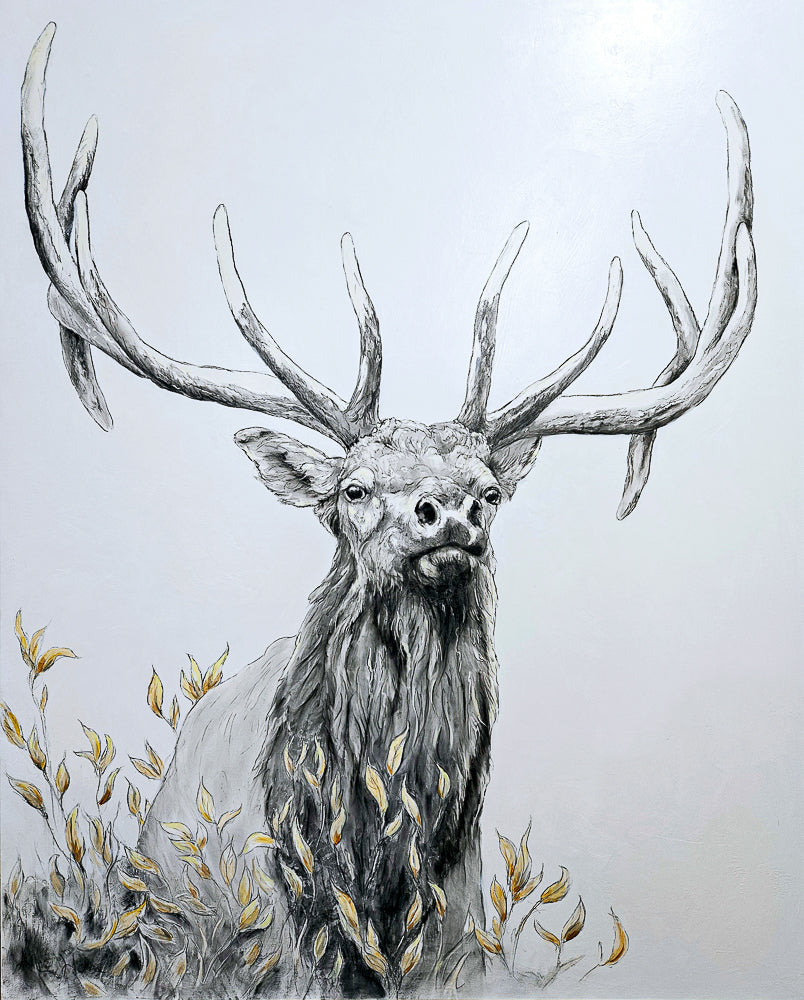 Fall Elk
