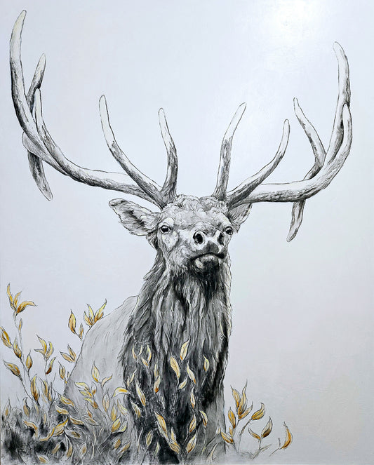Fall Elk
