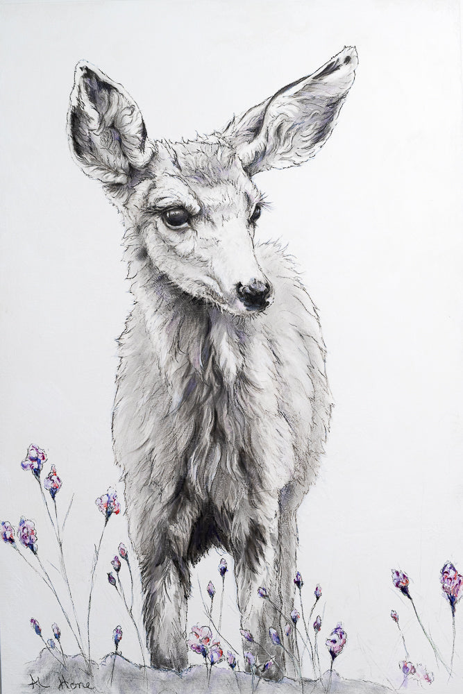 New Fawn