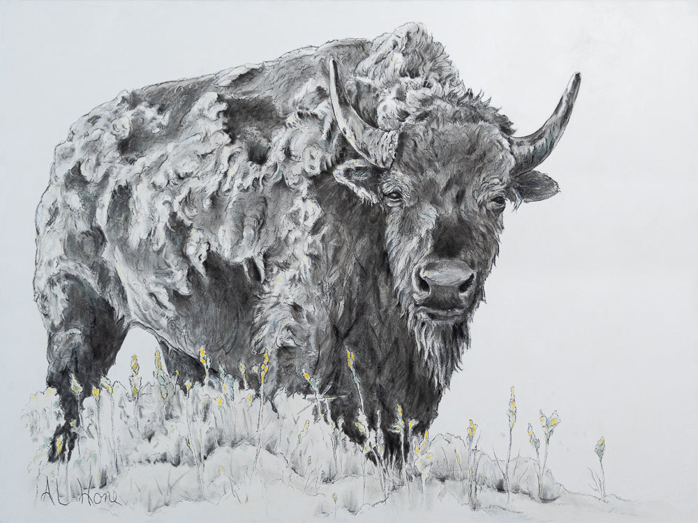 Fluffy Bison